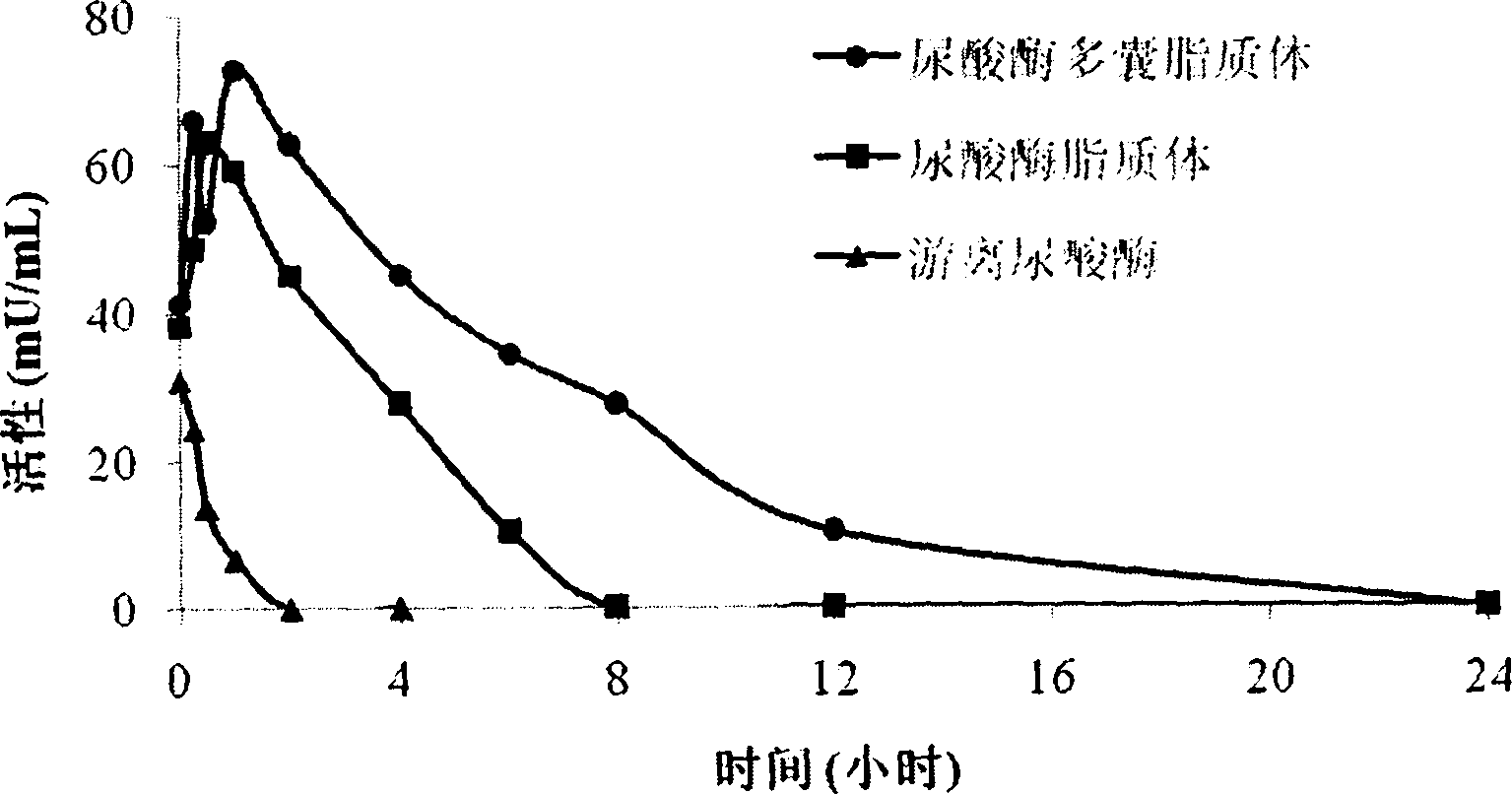 Uricase multivesicular liposome and preparation method thereof