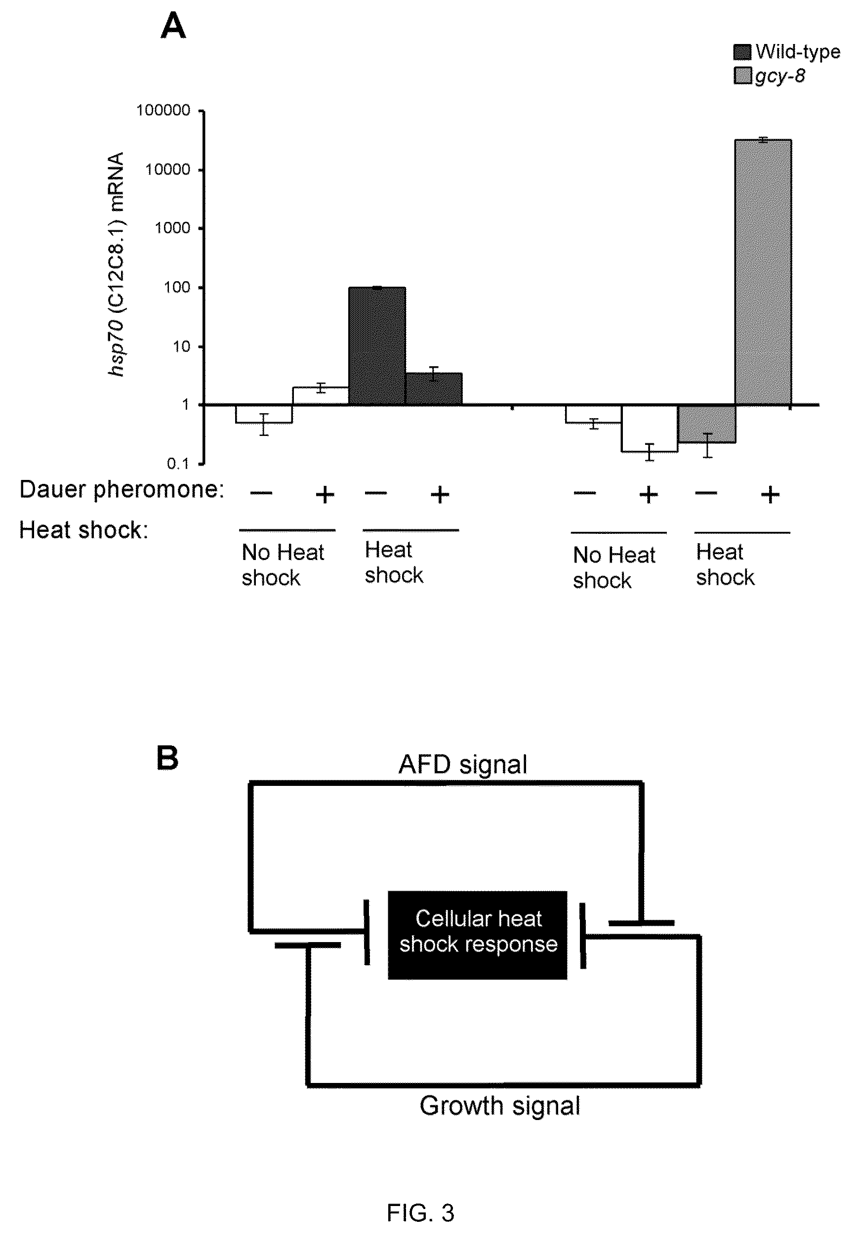 Method of regulating the heat shock response