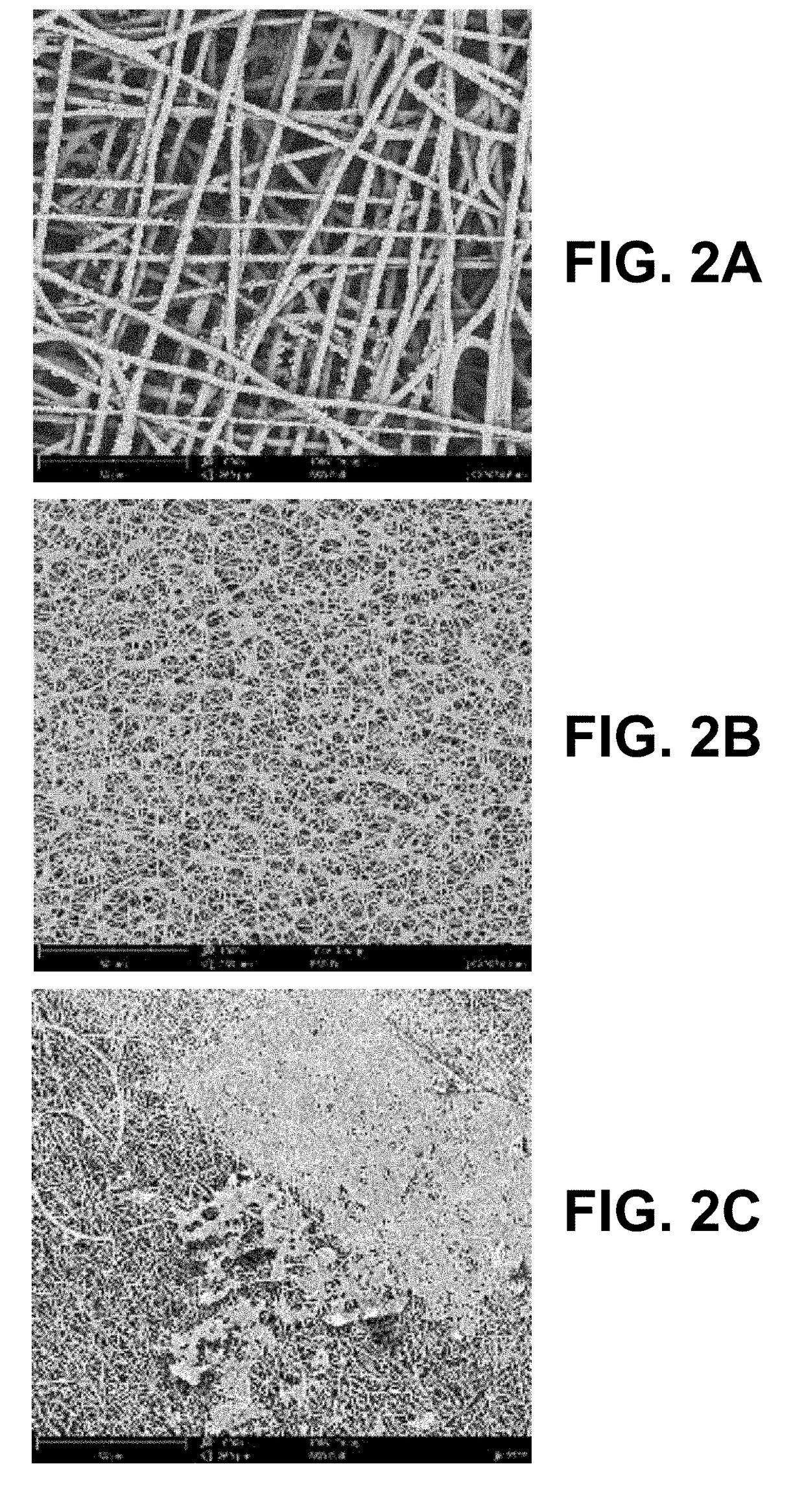 Inhibition of Platelet Absorption