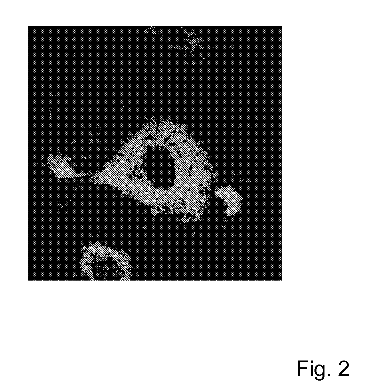 Liposomes and Uses Thereof