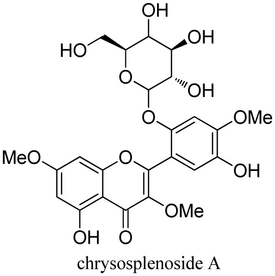 Flavonol glycoside derivatives and their use and preparation method