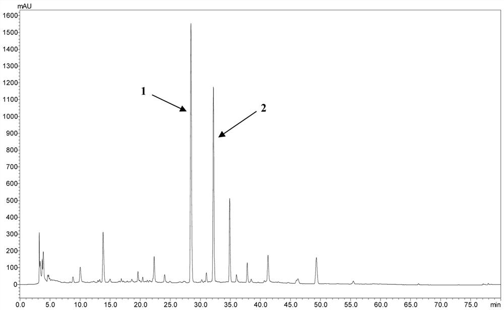 Flavonol glycoside derivatives and their use and preparation method