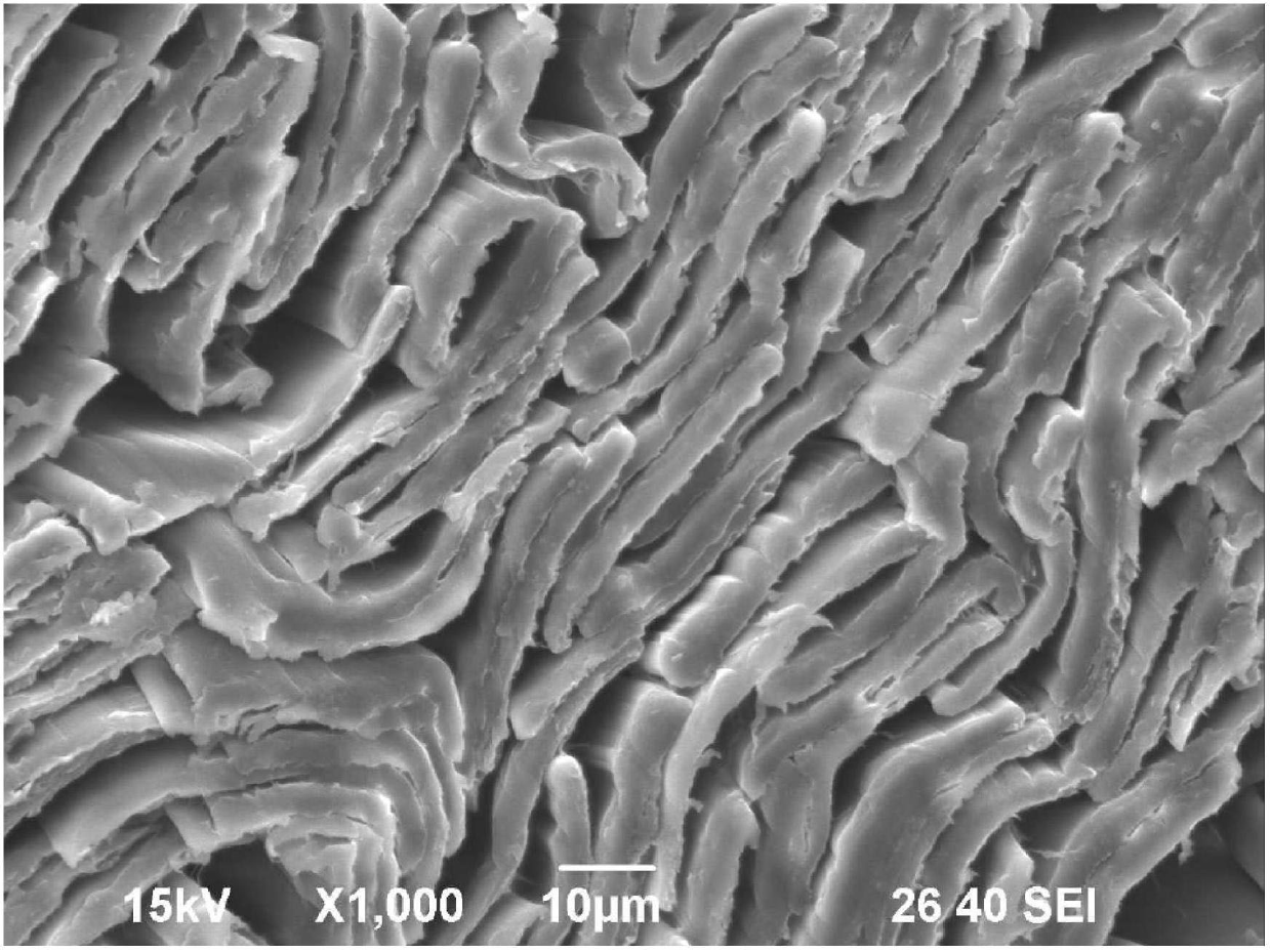 Flaky flat viscose fiber and preparation method thereof