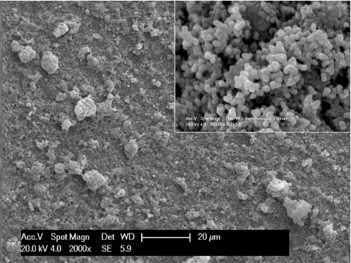 Effective water-collecting self-cleaning super-amphiphobic coating and preparation method thereof