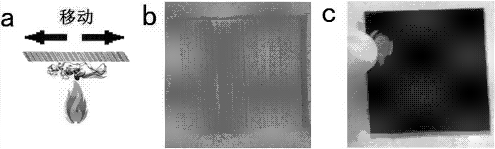 Super-hydrophobic super-oleophilic filter membrane, and preparation method and applications thereof