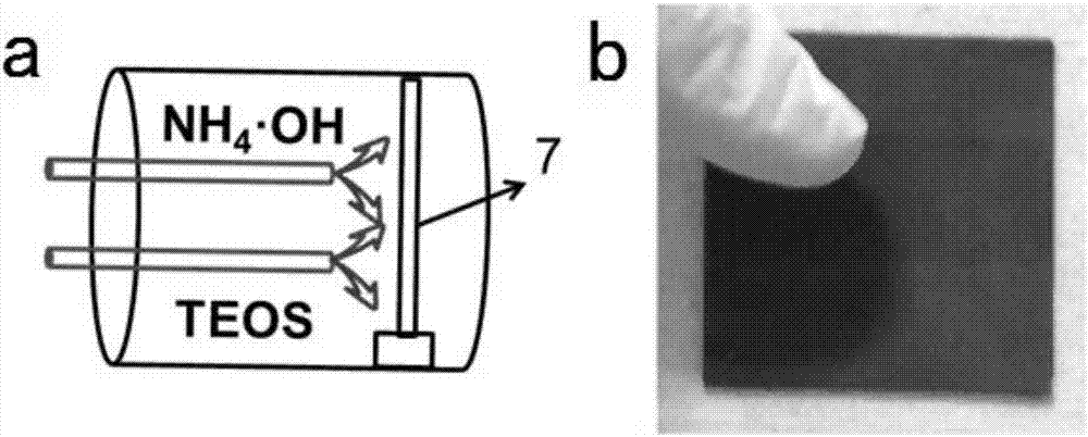 Super-hydrophobic super-oleophilic filter membrane, and preparation method and applications thereof