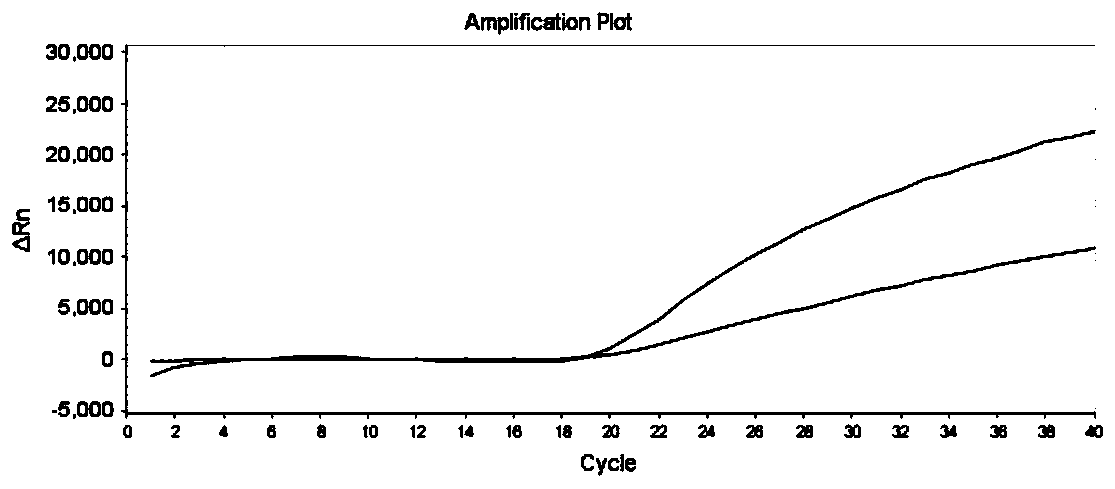 Gene detection method, primer probe combination and kit for precise drug use of depression