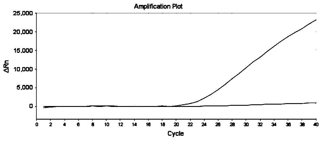 Gene detection method, primer probe combination and kit for precise drug use of depression