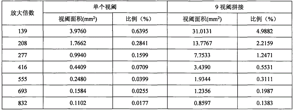 Image measuring method for evaluating oil pipe pitting behaviors