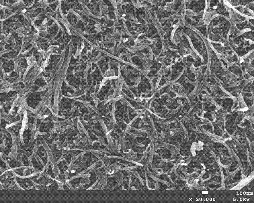 Terahertz absorption layer of carbon nano tube and metamaterial composite structure and preparation method of terahertz absorption layer