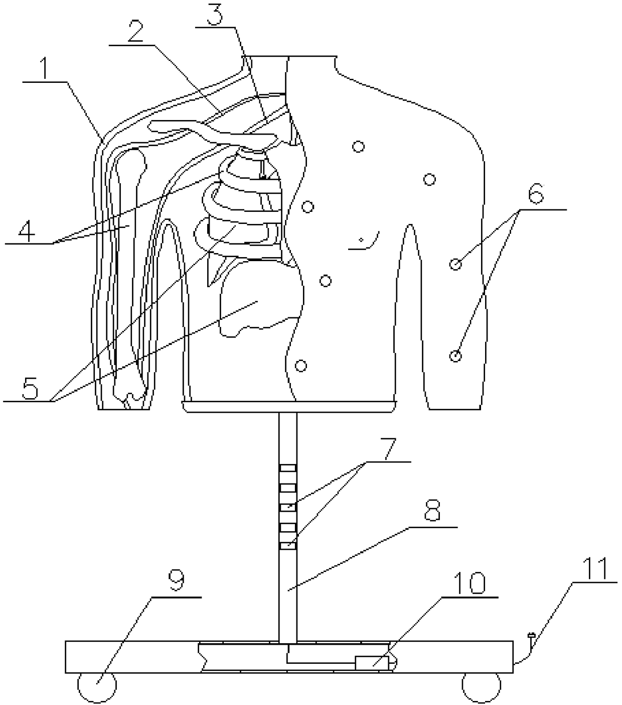 Human body structure model based on LED light source