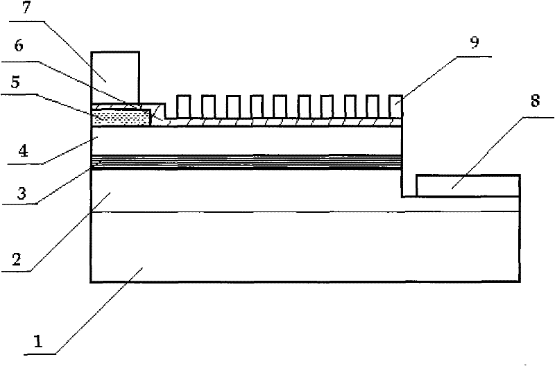 polarized light emitting diode