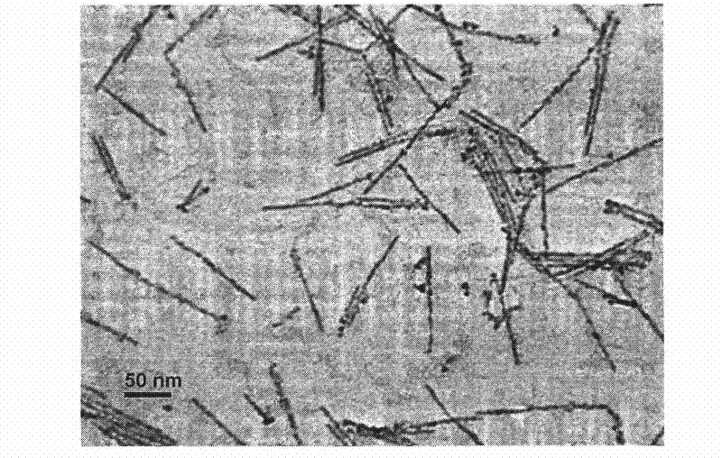 Sn-doped ZnO superfine nanowires and synthesis method thereof