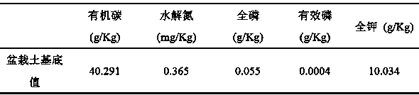 Endophytic fungus strain capable of enhancing activity of acid phosphatase of casuarina equisetifolia in low-phosphorus-content environment