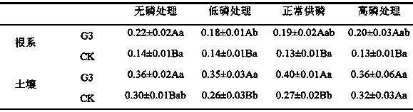 Endophytic fungus strain capable of enhancing activity of acid phosphatase of casuarina equisetifolia in low-phosphorus-content environment