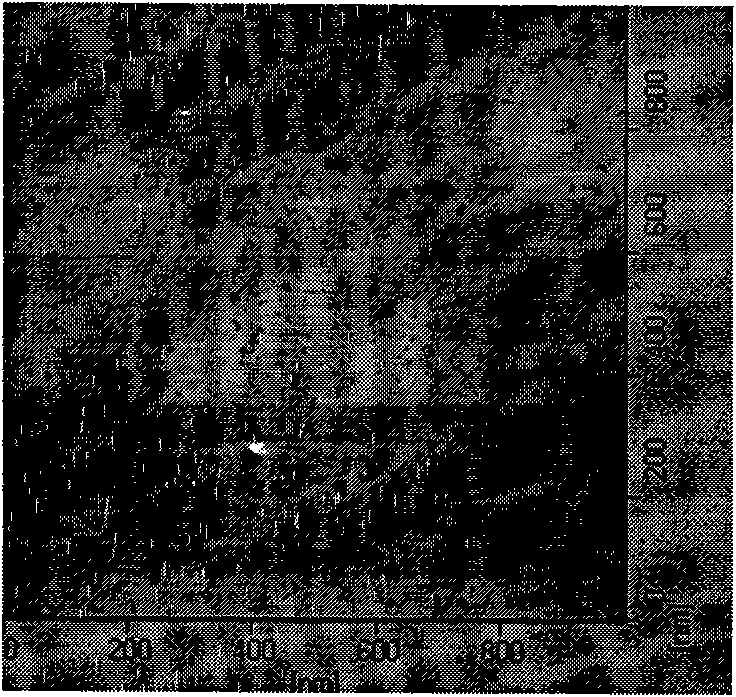 Deep-UV light-emitting diode and preparation method thereof