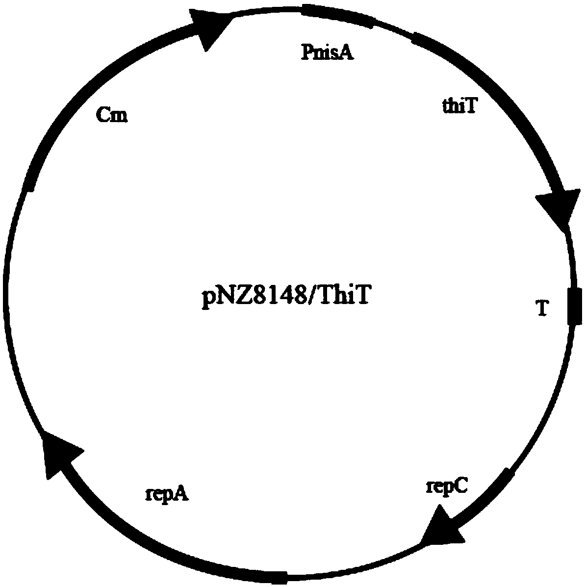 Lactic acid bacteria engineering bacteria with improved acid stress resistance and application thereof