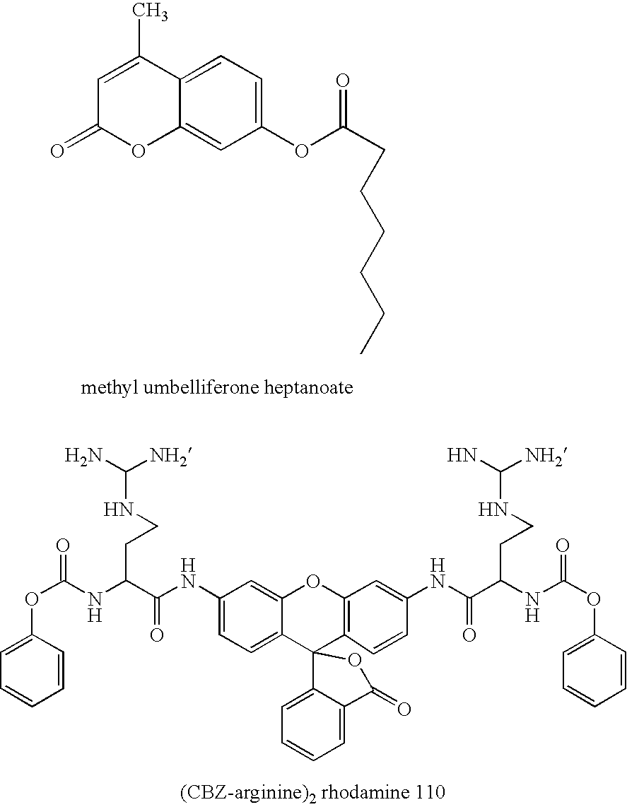 Screening methods and libraries of trace amounts of DNA from uncultivated microorganisms