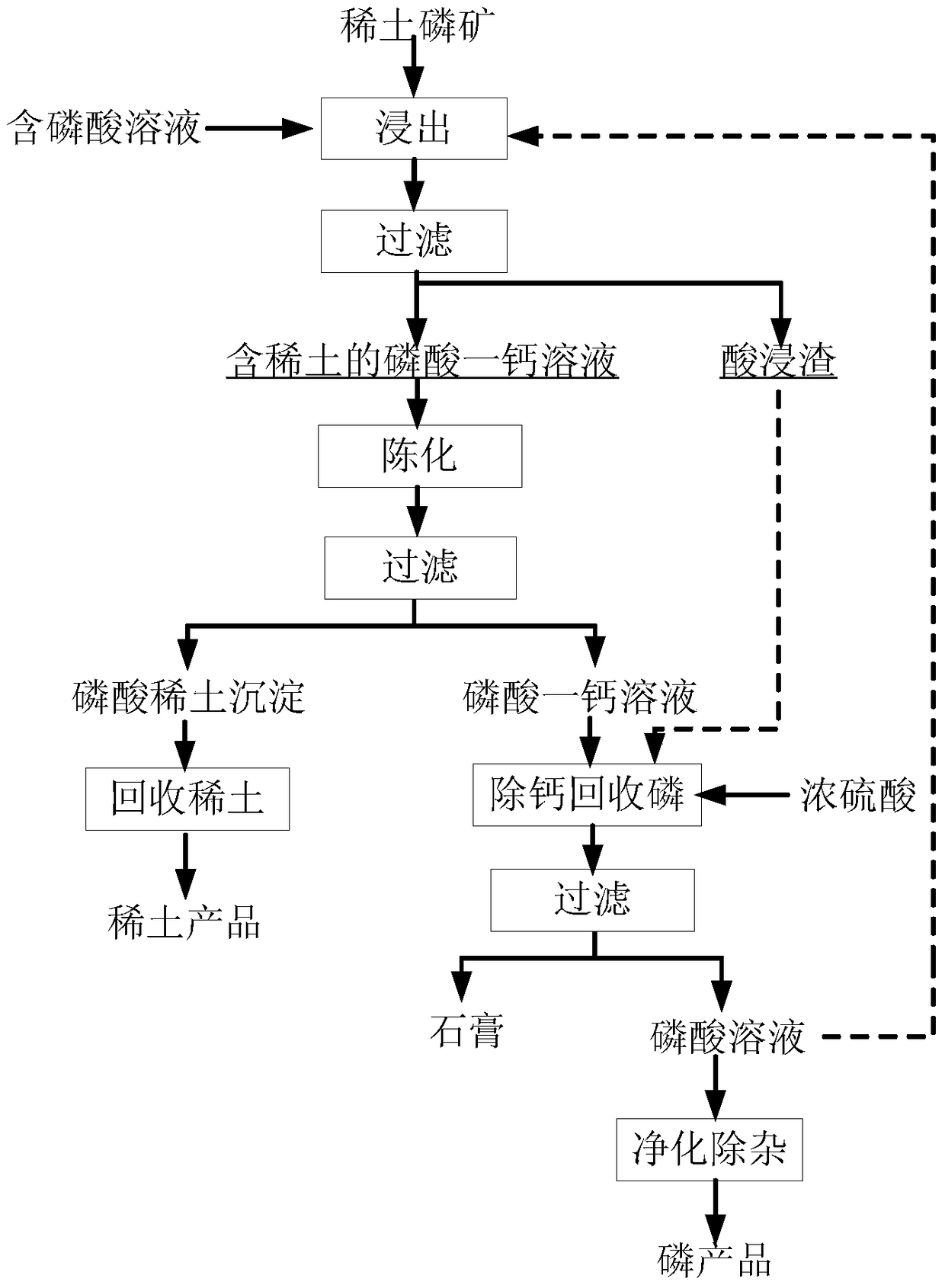 Method for recovering phosphorus and rare earth from phosphate rock containing rare earth