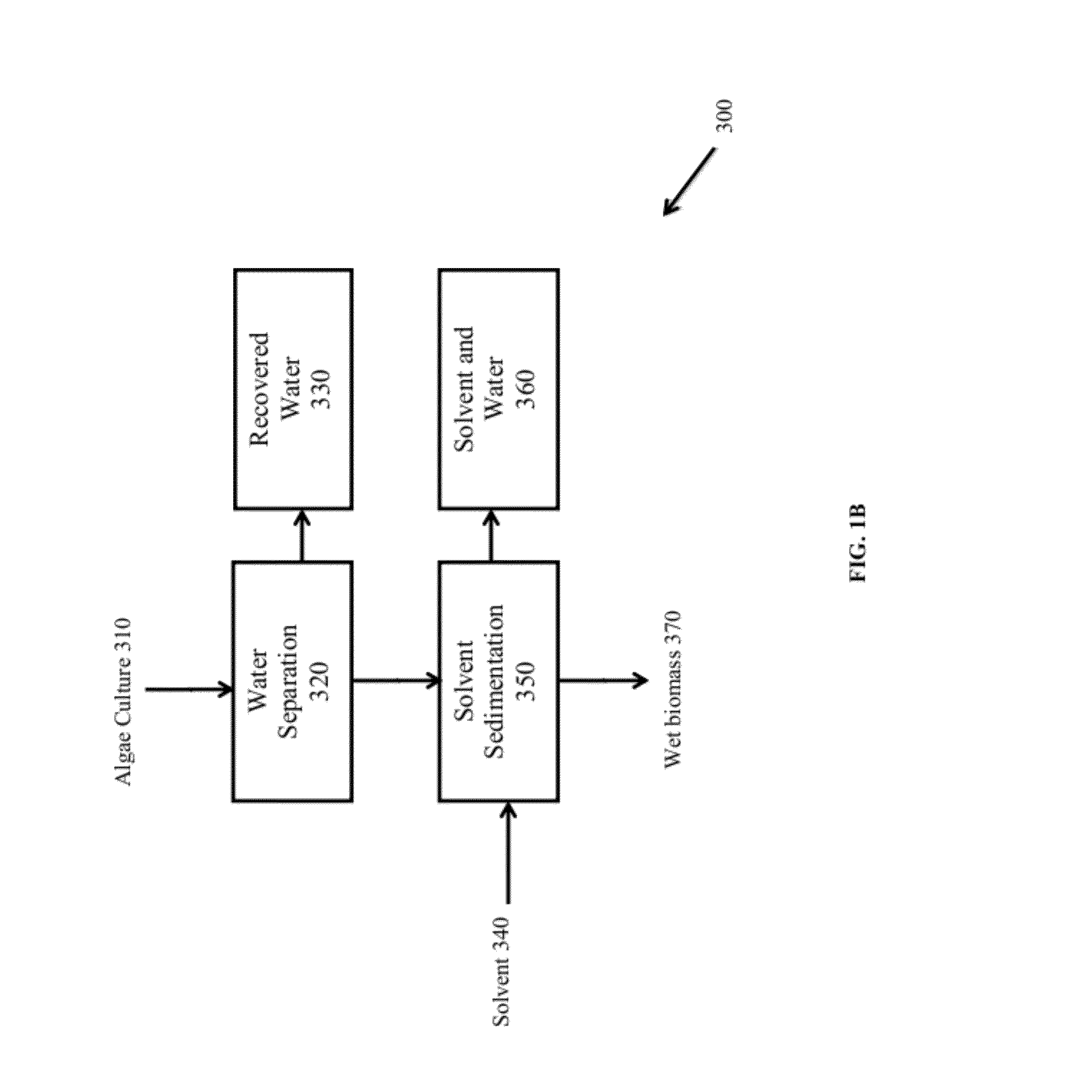 Extraction of neutral lipids by a two solvent method