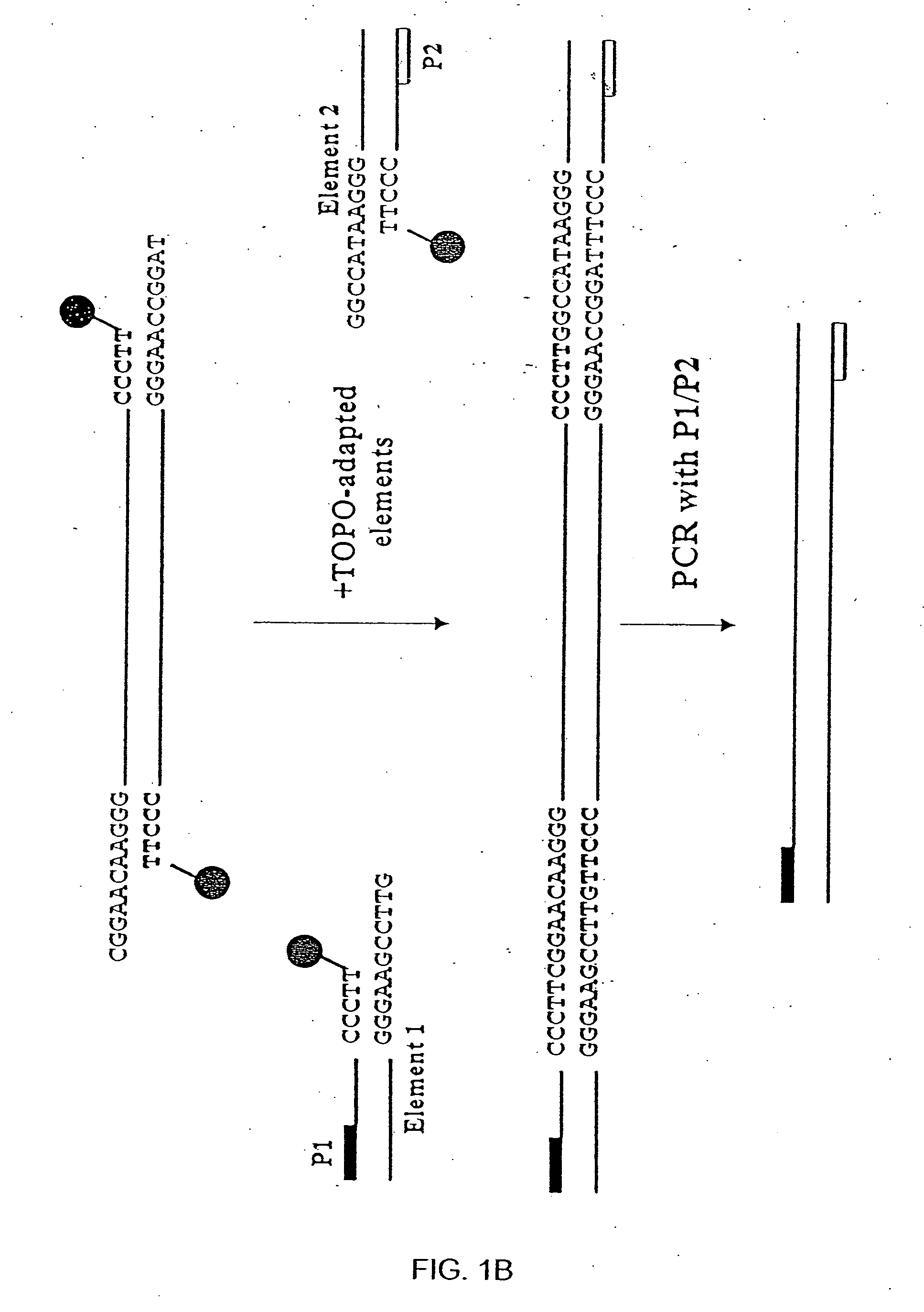 Methods and compositions for generating recombinant nucleic acid molecules