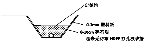 Method for original soil cultivation of facility grapes in coastal heavy saline-alkali soil