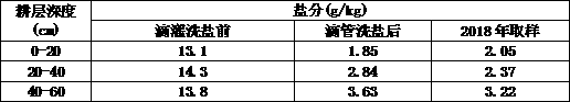 Method for original soil cultivation of facility grapes in coastal heavy saline-alkali soil