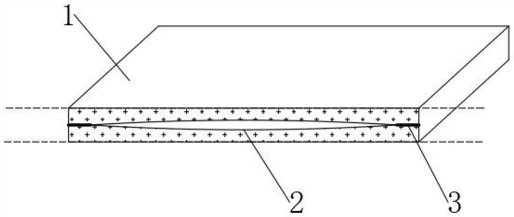 Protective plastic plate and production method thereof