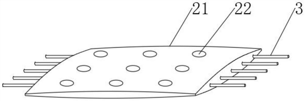 Protective plastic plate and production method thereof