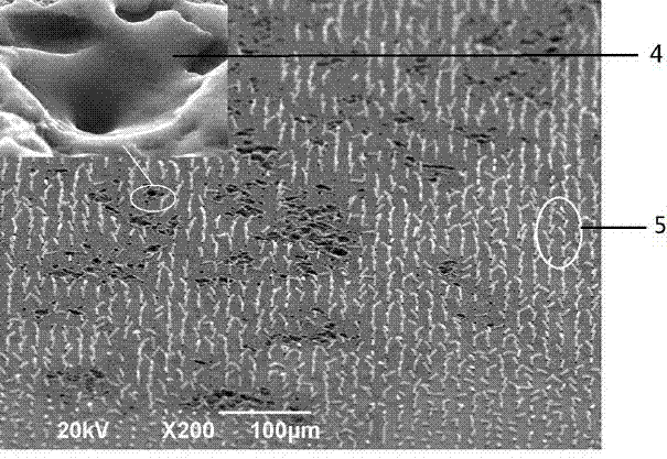 Field emission electron source and preparation method of carbon nanotube graphene composite structure thereof