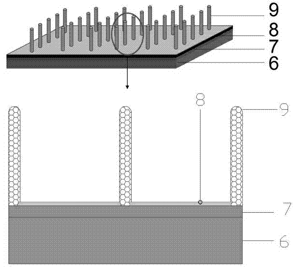 Field emission electron source and preparation method of carbon nanotube graphene composite structure thereof