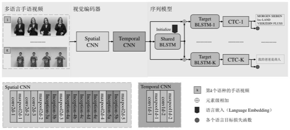 Continuous sign language recognition system based on multi-language cooperation