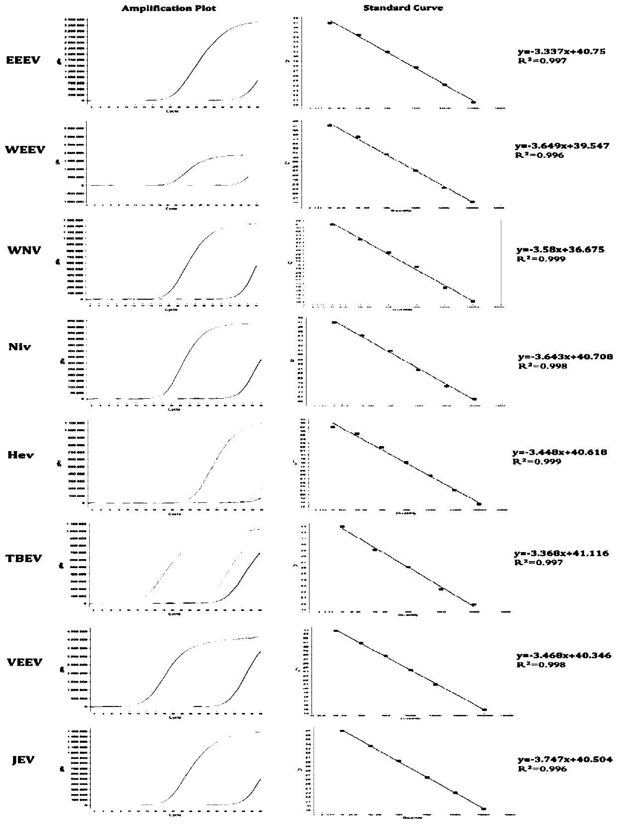 An RT-PCR primer and probe combination and kit for simultaneous detection of 8 arboviruses