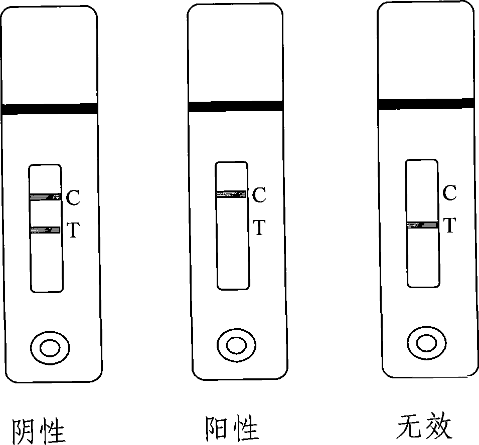 Colloidal gold test paper card for detecting enrofloxacin medicament residue