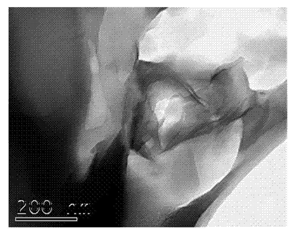 Method for preparing nano-material-doped polymer film