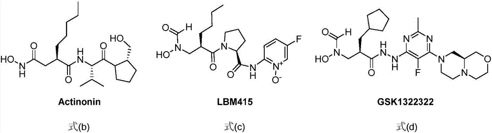 Anti-tumor application of spiro-three-membered ring and spiro-five-membered ring type peptide deformylase inhibitor