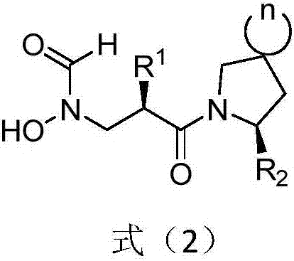 Anti-tumor application of spiro-three-membered ring and spiro-five-membered ring type peptide deformylase inhibitor