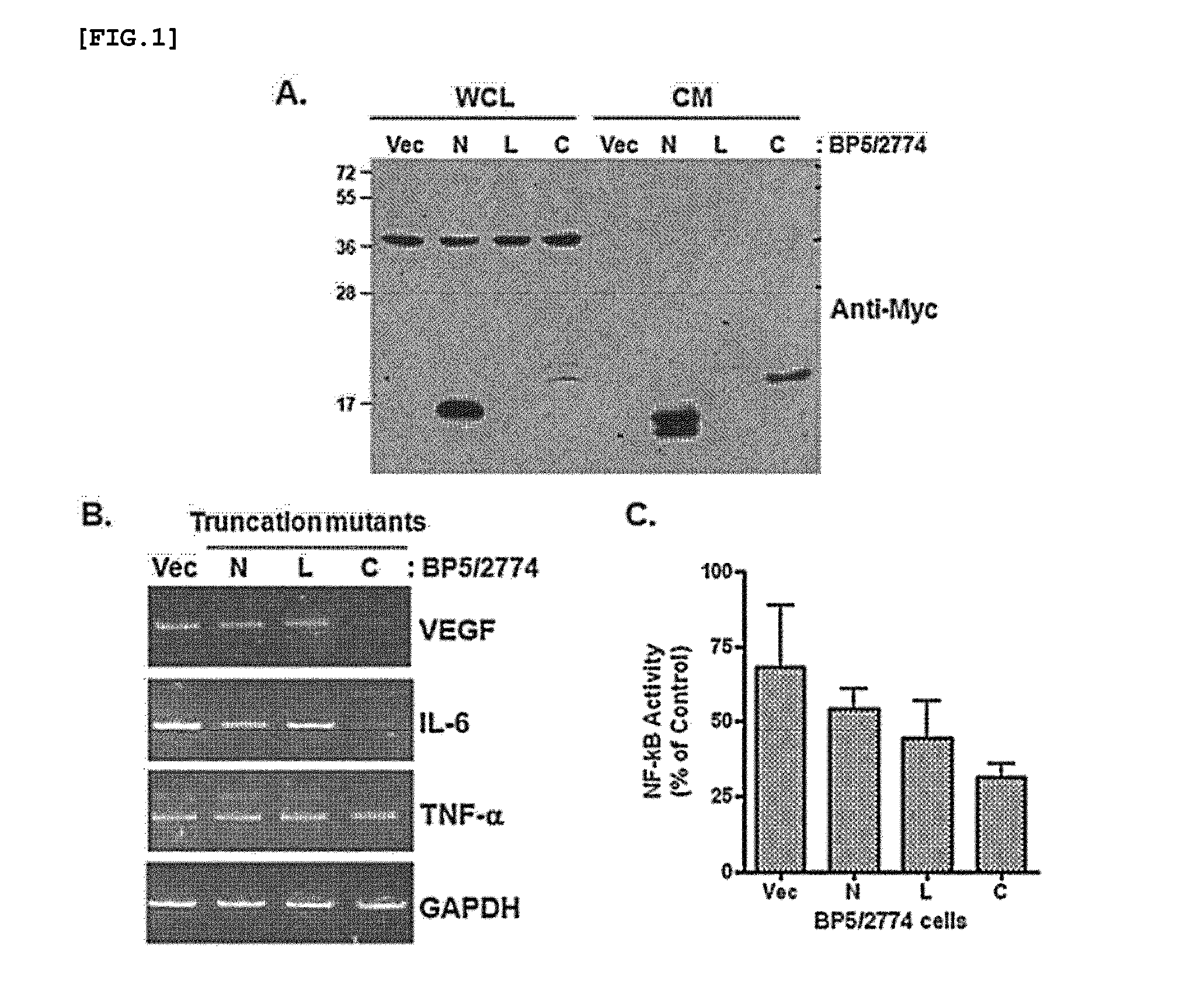 Novel use of c-terminal domain of igfbp-5 comprising heparin-binding domain as an angiogenesis inhibitor