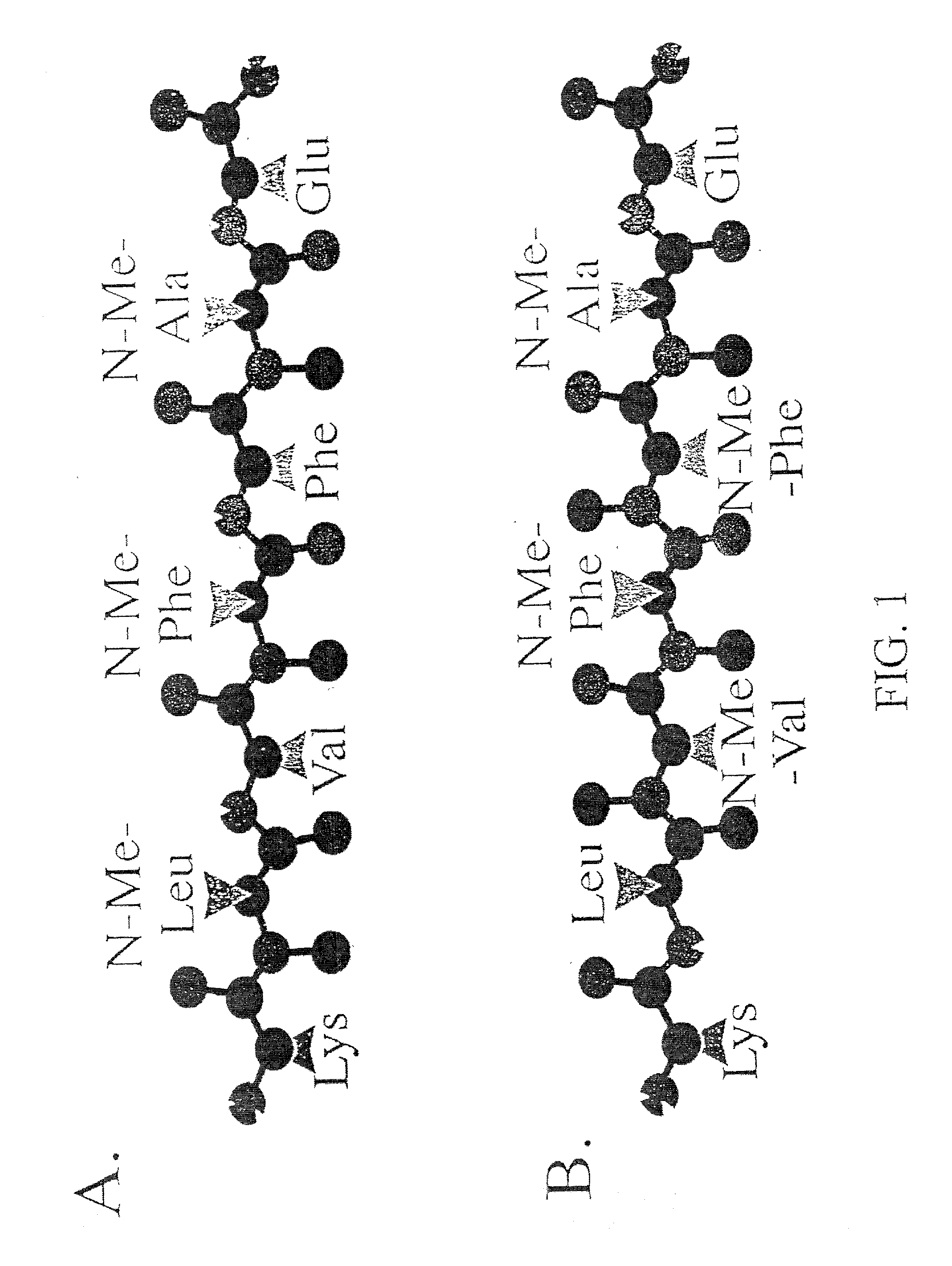 Inhibitors and disassemblers of fibrillogenesis