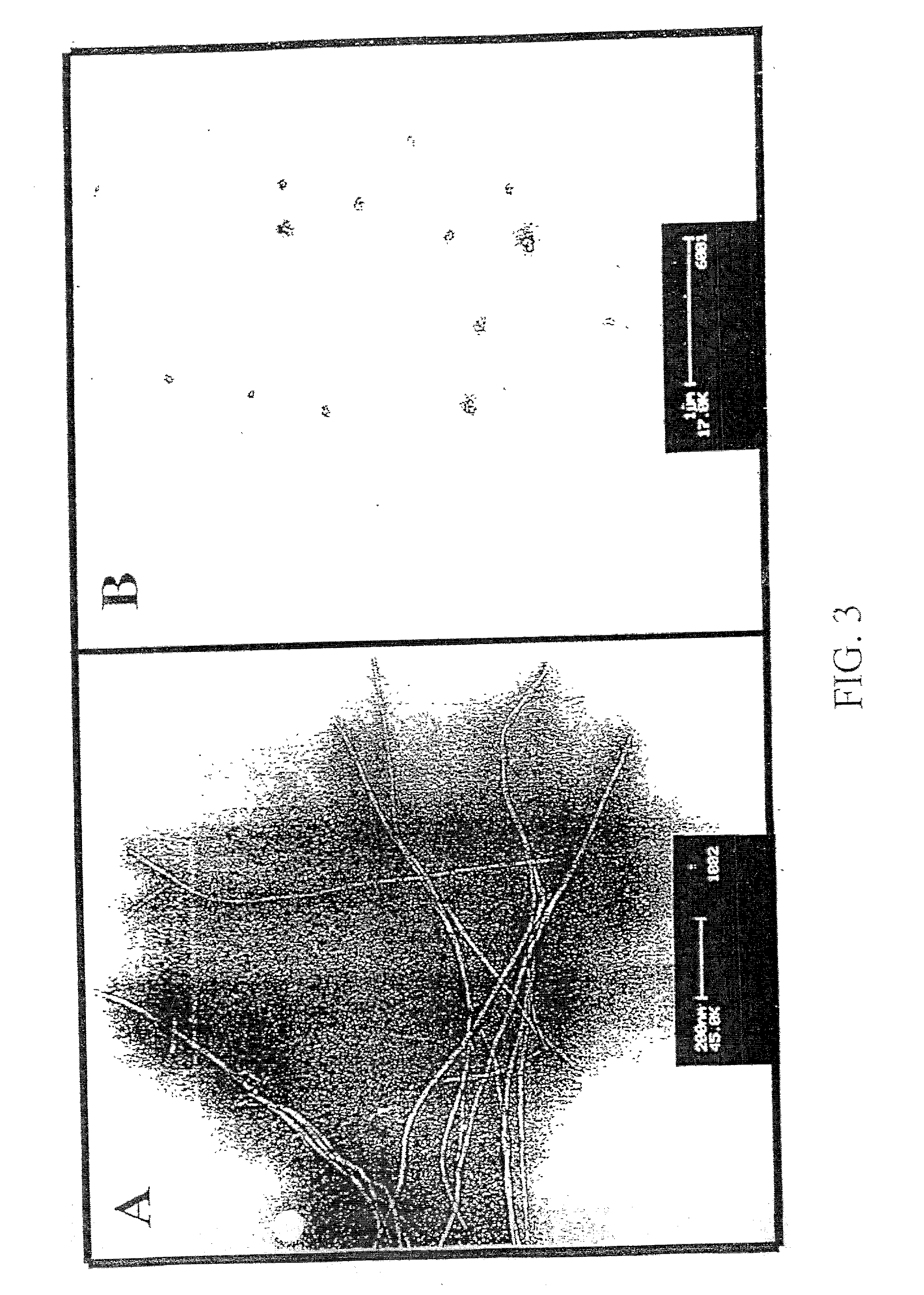 Inhibitors and disassemblers of fibrillogenesis