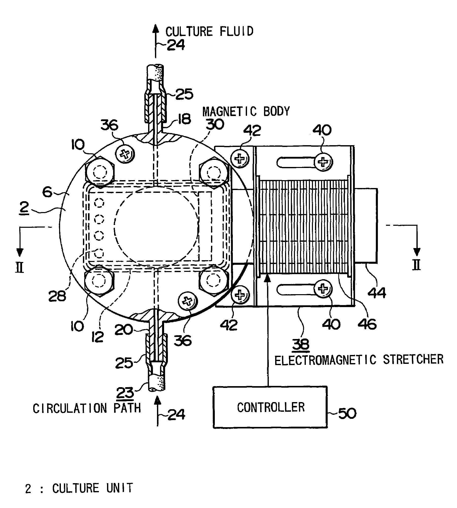 Cell/tissue culture apparatus