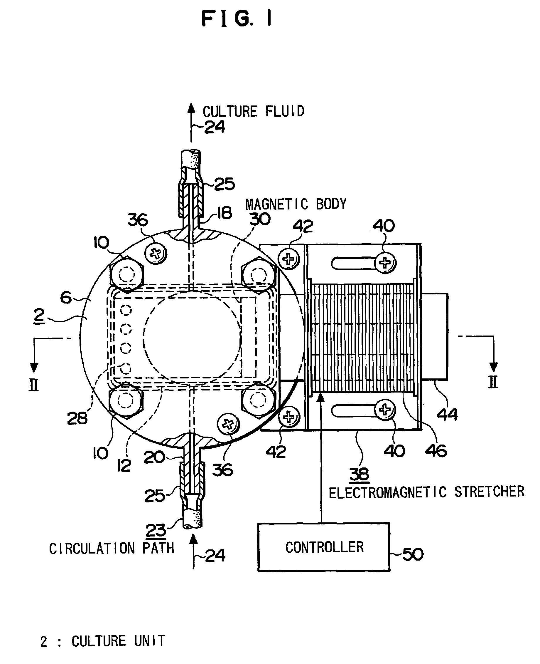 Cell/tissue culture apparatus