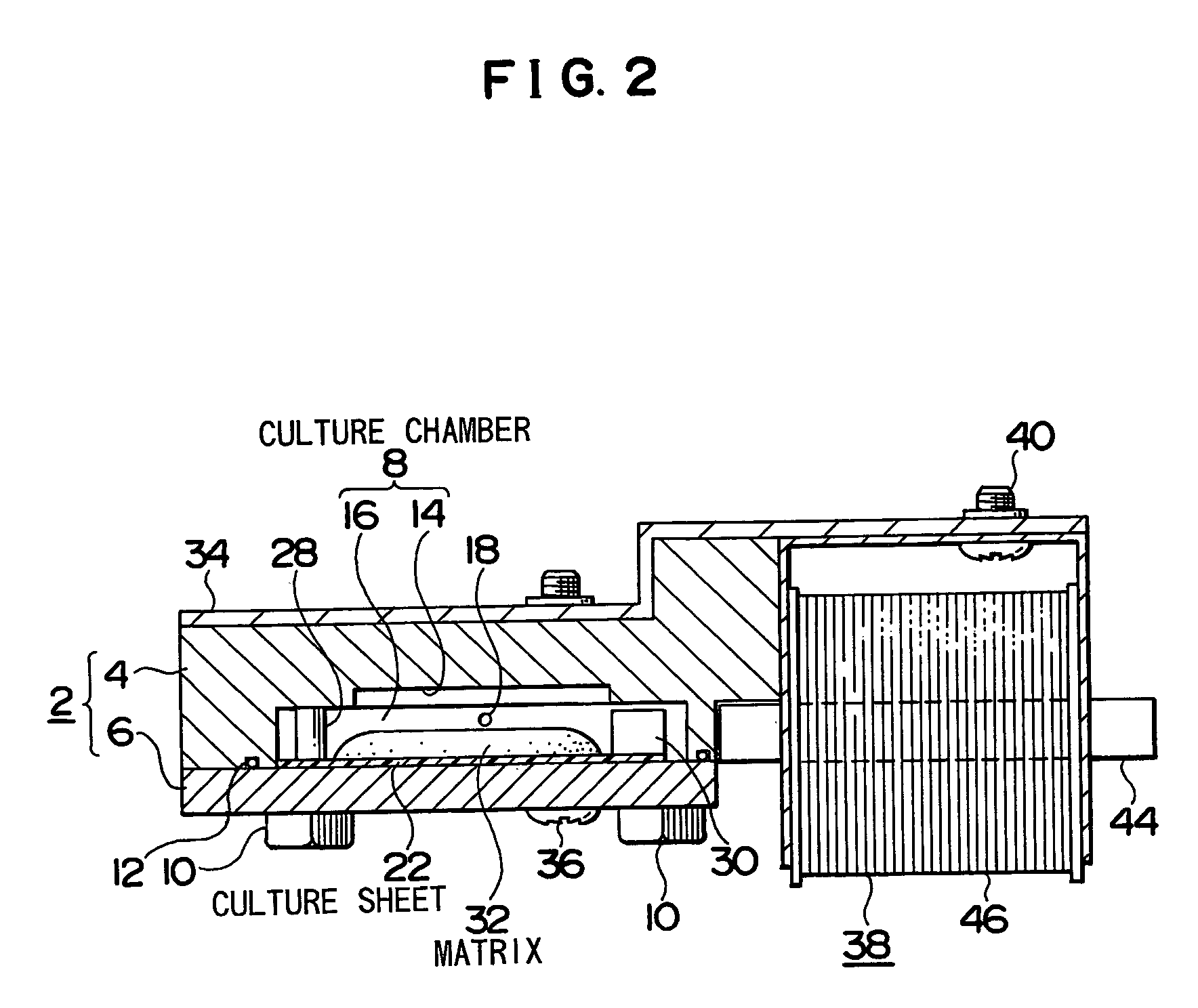 Cell/tissue culture apparatus