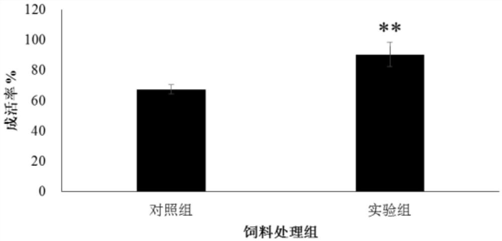 Method for improving anti-stress ability of fugu rubripes under different feed fat levels