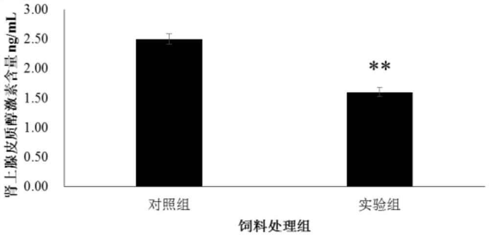 Method for improving anti-stress ability of fugu rubripes under different feed fat levels