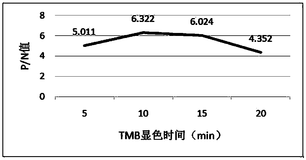 Indirect ELISA detection kit and detection method for detecting chlamydia pneumoniae antibody