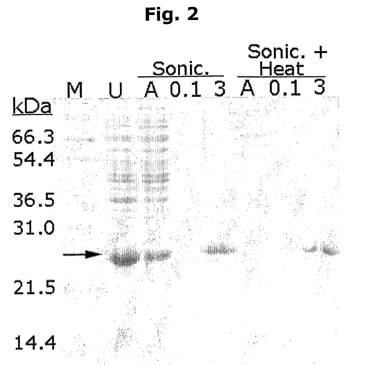 Novel method for protein purification