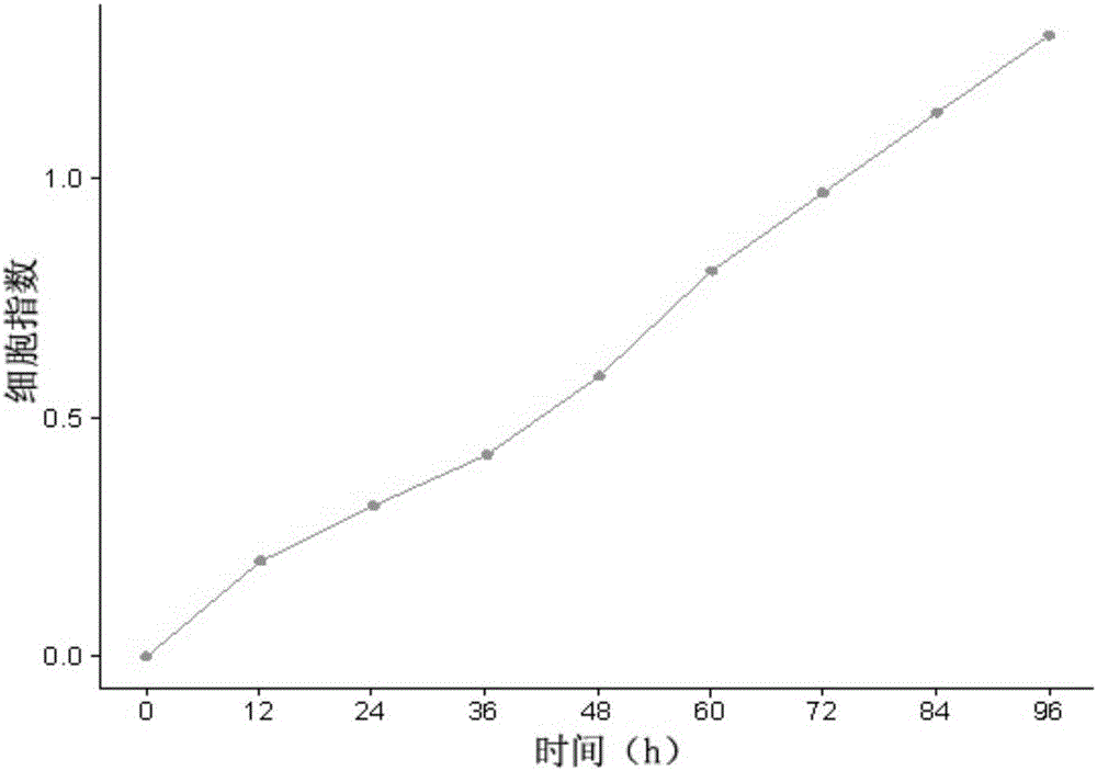 Esophageal cancer cell line and application thereof