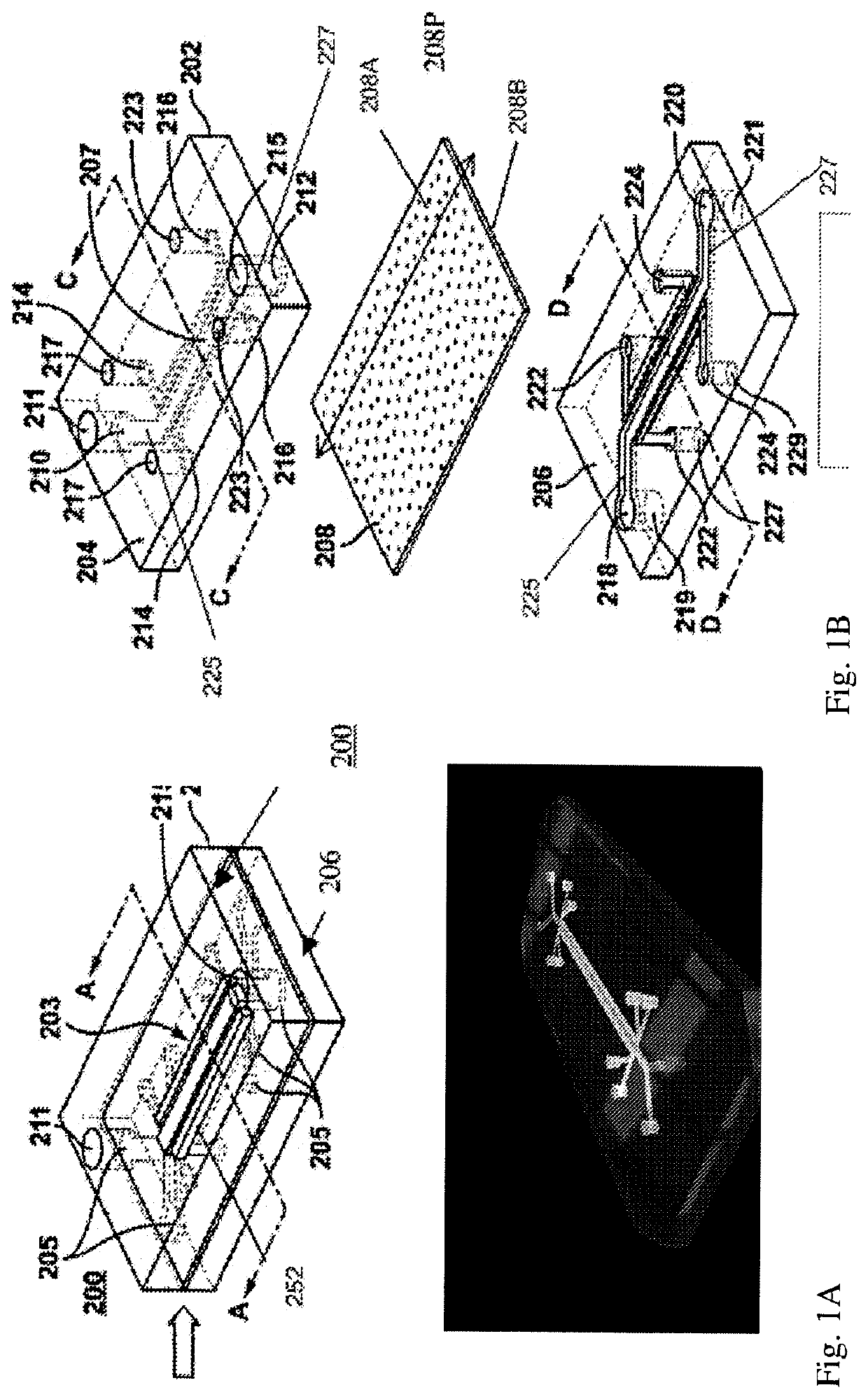 Advanced pulmonary models