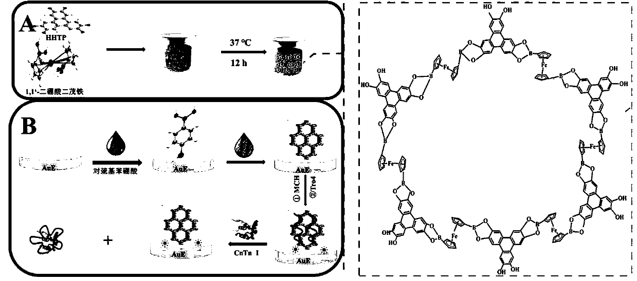 Preparation method of ferrocenyl covalent organic framework modified electrode and method for electrochemically detecting troponin